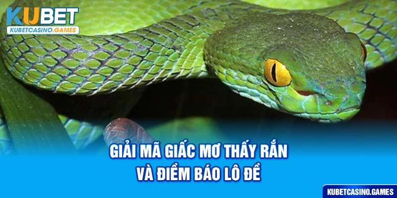Giải mã giấc mơ thấy rắn và điềm báo lô đề