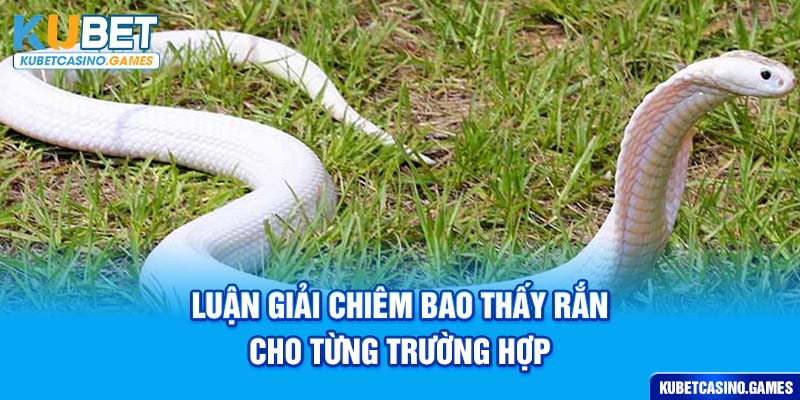 Luận giải chiêm bao thấy rắn cho từng trường hợp