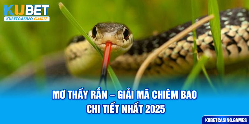 Mơ Thấy Rắn - Giải Mã Chiêm Bao Chi Tiết Nhất 2025