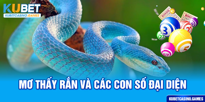 Mơ thấy rắn và các con số đại diện