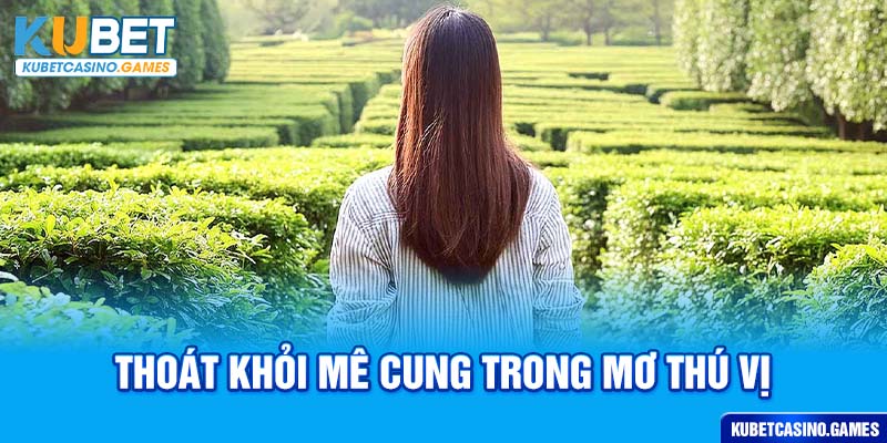 Thoát khỏi mê cung trong mơ thú vị