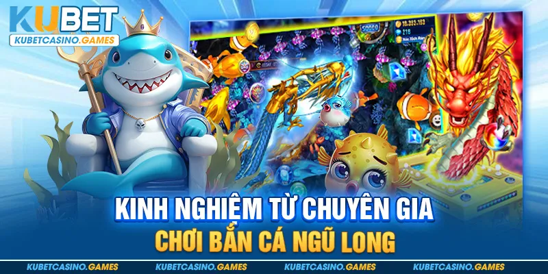 Kinh nghiệm từ chuyên gia chơi bắn cá ngũ long