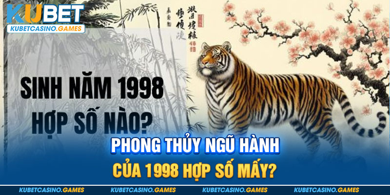 Phong thủy ngũ hành của 1998 hợp số mấy?