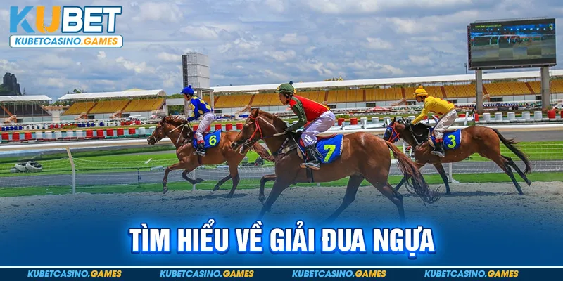 Tìm hiểu về giải đua ngựa