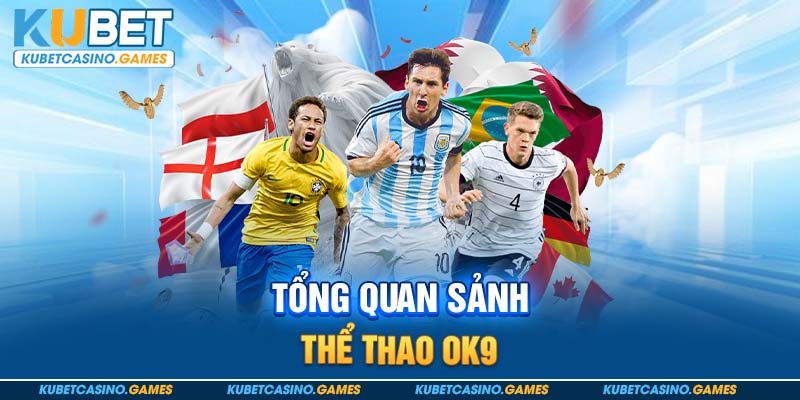 Tổng quan sảnh thể thao ok9
