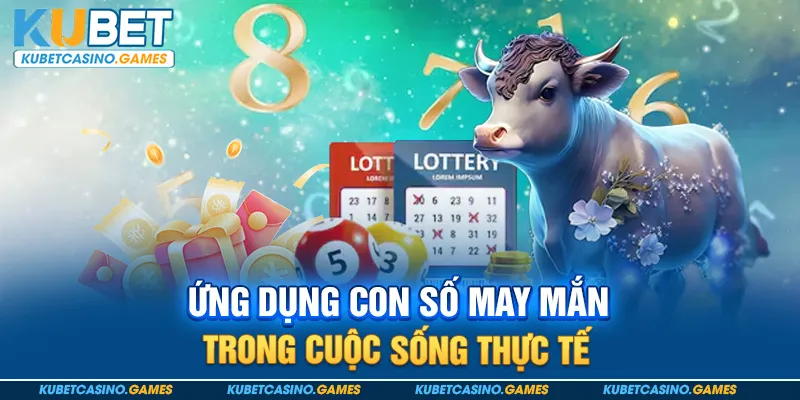 Ứng dụng con số may mắn trong cuộc sống thực tế